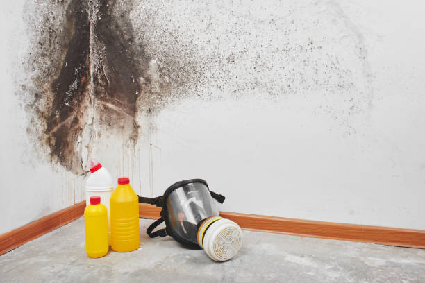Best Crawl Space Mold Removal  in Doniphan, MO