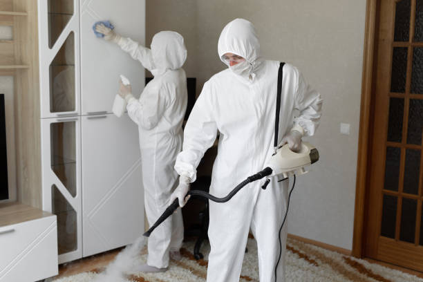 Mold Testing and Removal in Doniphan, MO